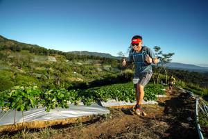 BIB: 
                            <button type="button" onclick="openModal(19117902)" class="btn btn-primary btn-sm float-right btn-popup" data-toggle="modal" data-target=".modal-high-quality">
                        <i class="fas fa-shopping-cart"></i> Add to Cart
                    </button>
                                            <button type="button" onclick="isThisMe(19117902, true)" class="btn btn-success btn-sm float-right btn-popup btn-isme hidden" data-toggle="tooltip" data-placement="bottom" title="นี่คือรูปของคุณใช่ไหม คลิกที่นี่เพื่อเอาเข้าอัลบั้ม">
                        <i class="fas fa-plus"></i> Add to album
                    </button>
                    <button type="button" onclick="isThisMe(19117902, false)" class="btn btn-warning btn-sm float-right btn-popup btn-isnotme hidden">
                        <i class="fas fa-ban"></i> Remove from album
                    </button>